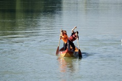 DSC00809
