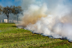 55232036643_7b931b0fa0_o