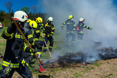 55232137844_b2b7fb98e4_o