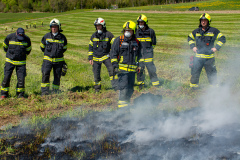 55232298965_be7926ace2_o