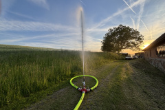IMG_4599